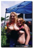 Click to view big image Flasher3317.jpg